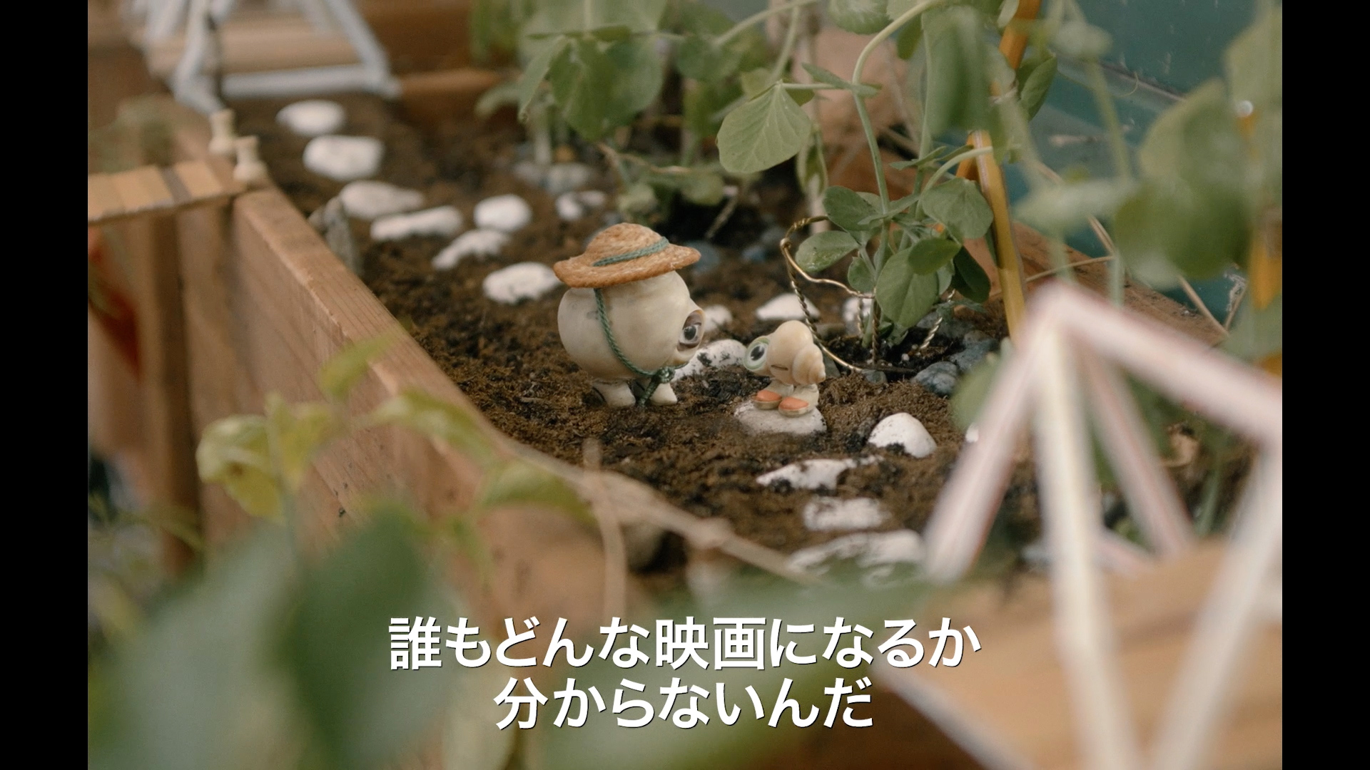 マルセル 靴をはいた小さな貝