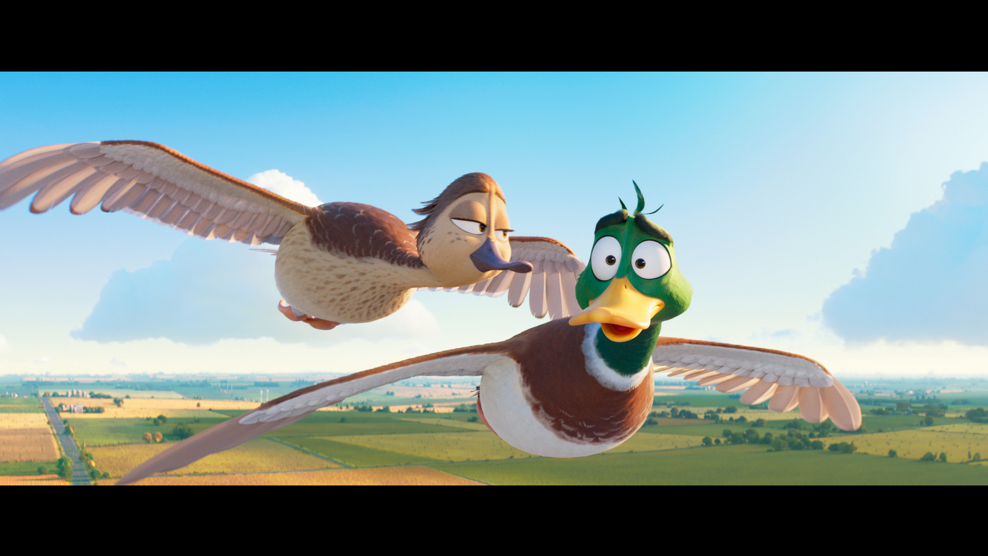 FLY!/フライ!