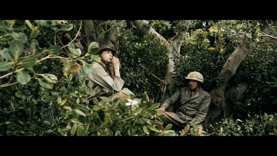 木の上の軍隊